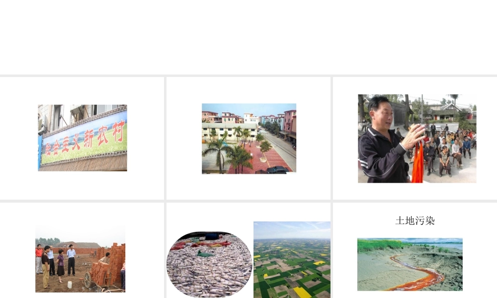 八年级生物下册 第24章 第二节 关注农村环境课件1 （新版）北师大版