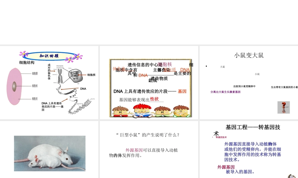 八年级生物下册 第二十四章 第一节 现代生物技术的应用课件3 （新版）苏教版