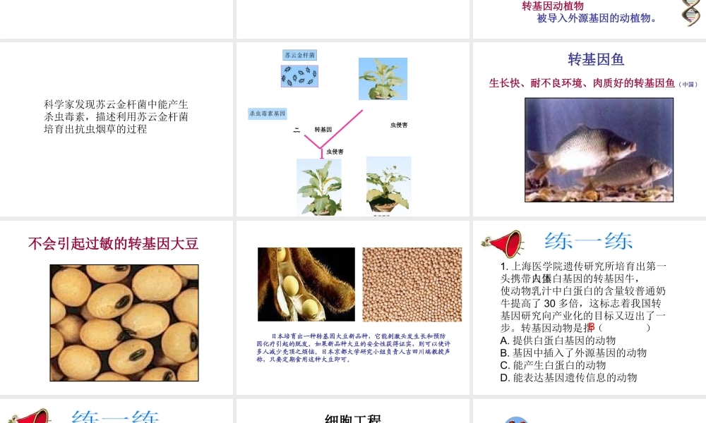 八年级生物下册 第二十四章 第一节 现代生物技术的应用课件3 （新版）苏教版