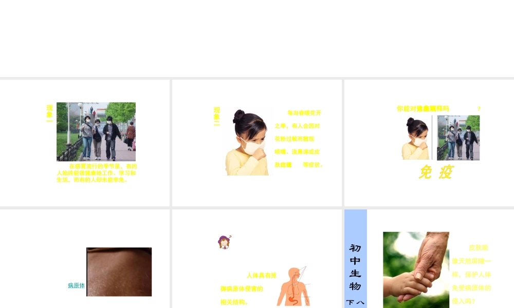 八年级生物下册 第二章 第一节 人体的免疫防线课件 苏科版