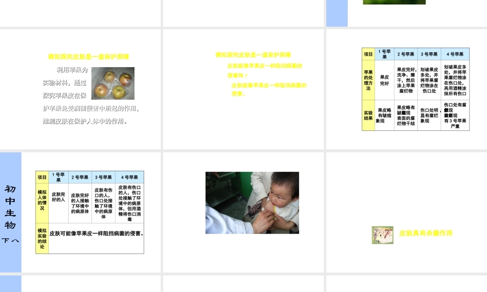 八年级生物下册 第二章 第一节 人体的免疫防线课件 苏科版