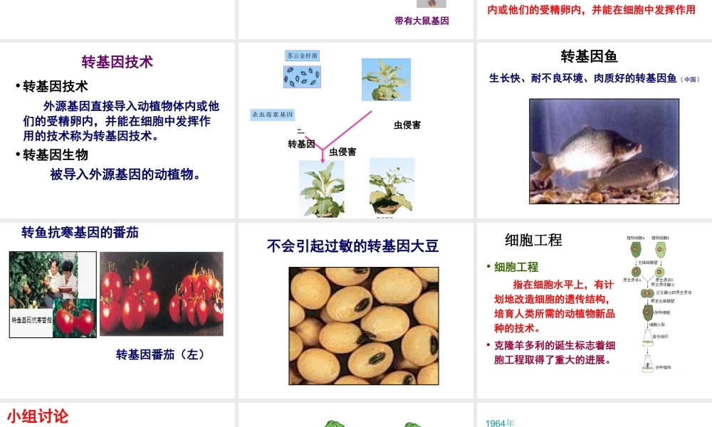 八年级生物下册 第二十四章 第一节 现代生物技术的应用课件4 （新版）苏教版