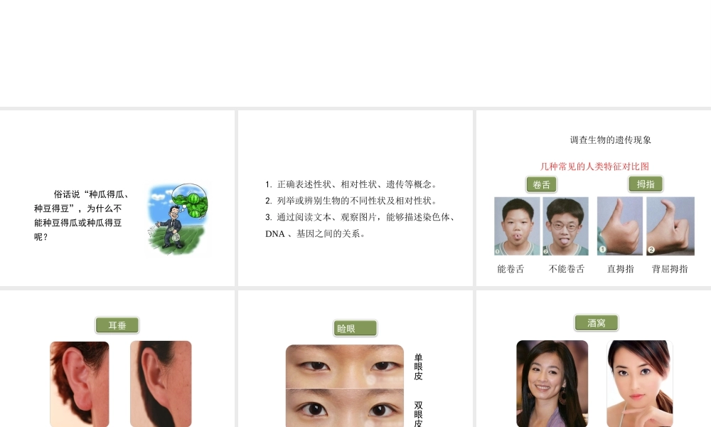 八年级生物下册 第7单元 生命的延续与进化 第22章 第1节《生物的遗传》第1课时课件 （新版）苏科版-（新版）苏科版初中八年级下册生物课件