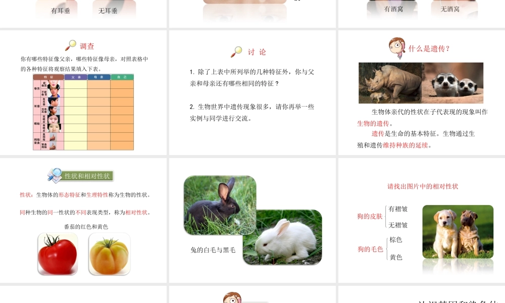 八年级生物下册 第7单元 生命的延续与进化 第22章 第1节《生物的遗传》第1课时课件 （新版）苏科版-（新版）苏科版初中八年级下册生物课件