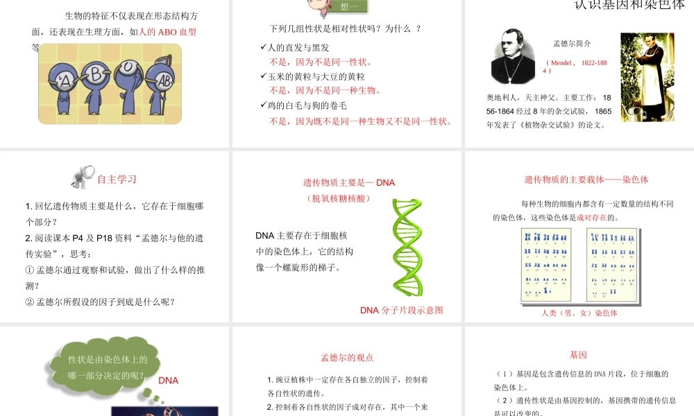 八年级生物下册 第7单元 生命的延续与进化 第22章 第1节《生物的遗传》第1课时课件 （新版）苏科版-（新版）苏科版初中八年级下册生物课件