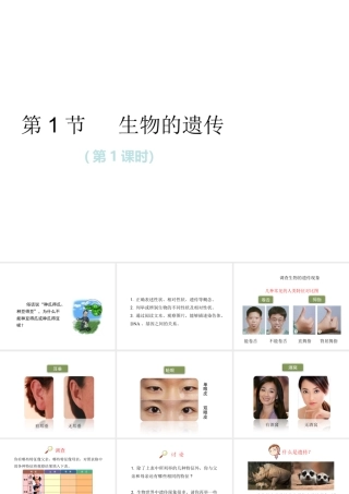 八年级生物下册 第7单元 生命的延续与进化 第22章 第1节《生物的遗传》第1课时课件 （新版）苏科版-（新版）苏科版初中八年级下册生物课件