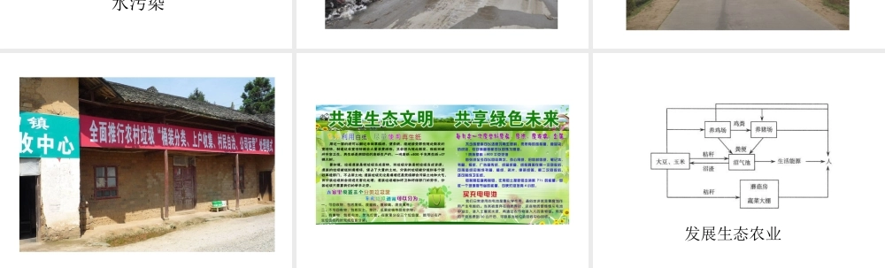 八年级生物下册 第24章 第二节 关注农村环境课件3 （新版）北师大版