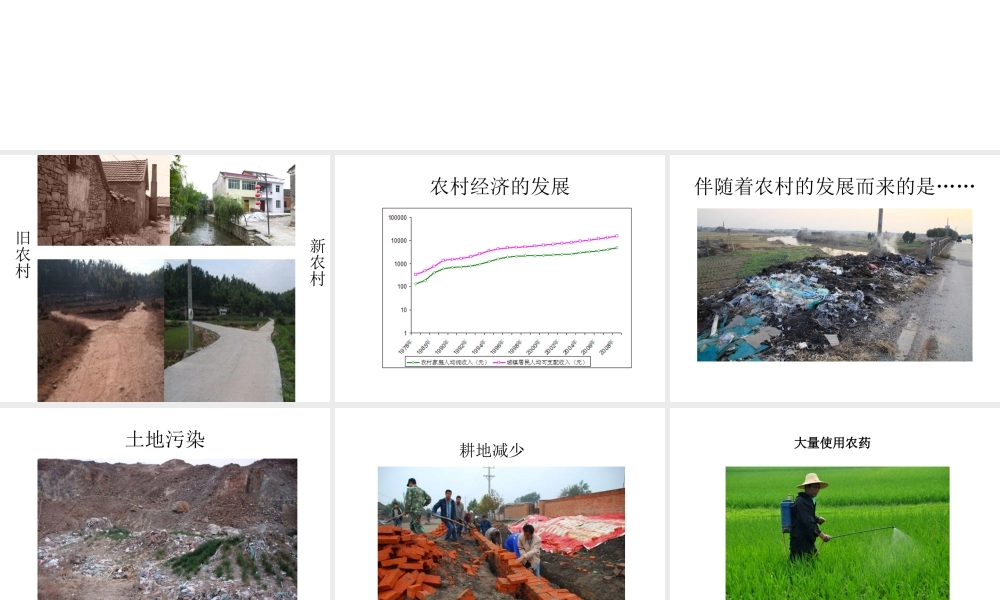 八年级生物下册 第24章 第二节 关注农村环境课件4 （新版）北师大版