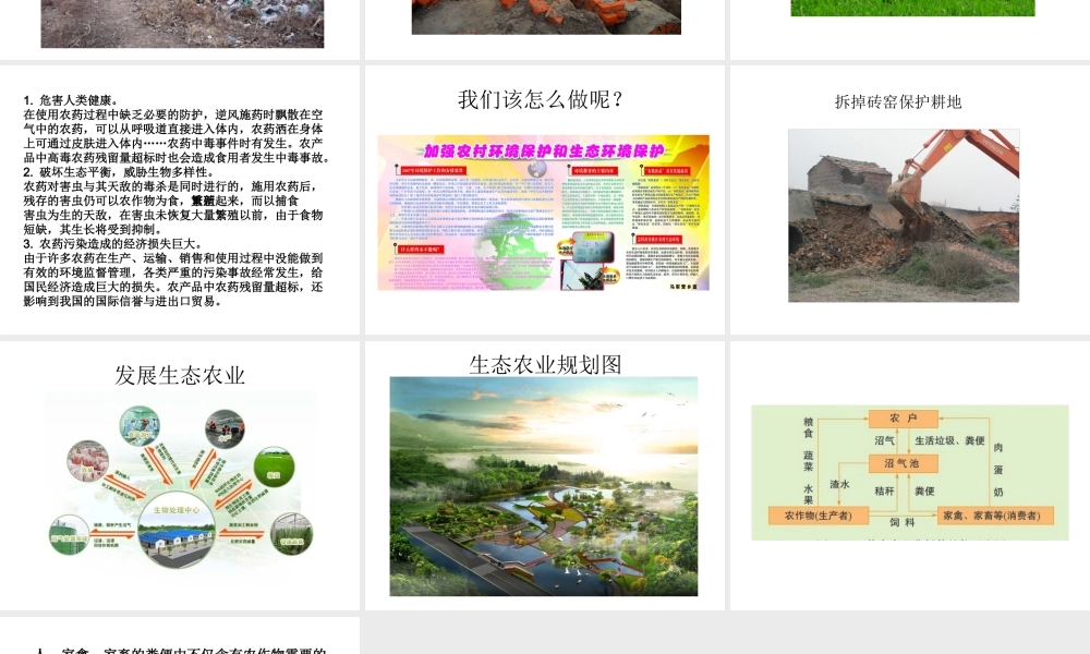 八年级生物下册 第24章 第二节 关注农村环境课件4 （新版）北师大版