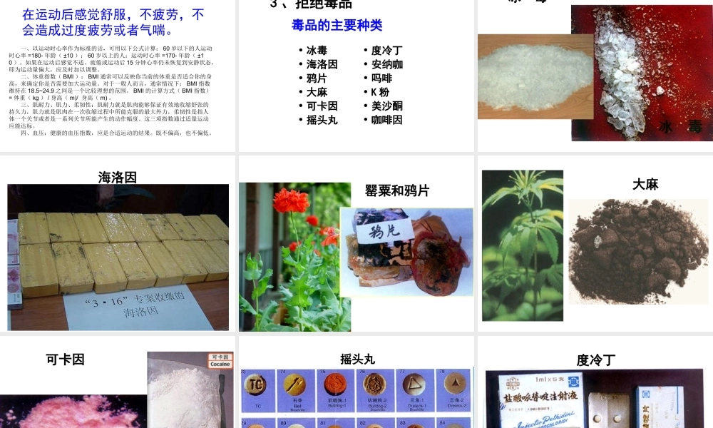 八年级生物下册 第八单元 第三章 第二节 选择健康的生活方式课件1 新人教版