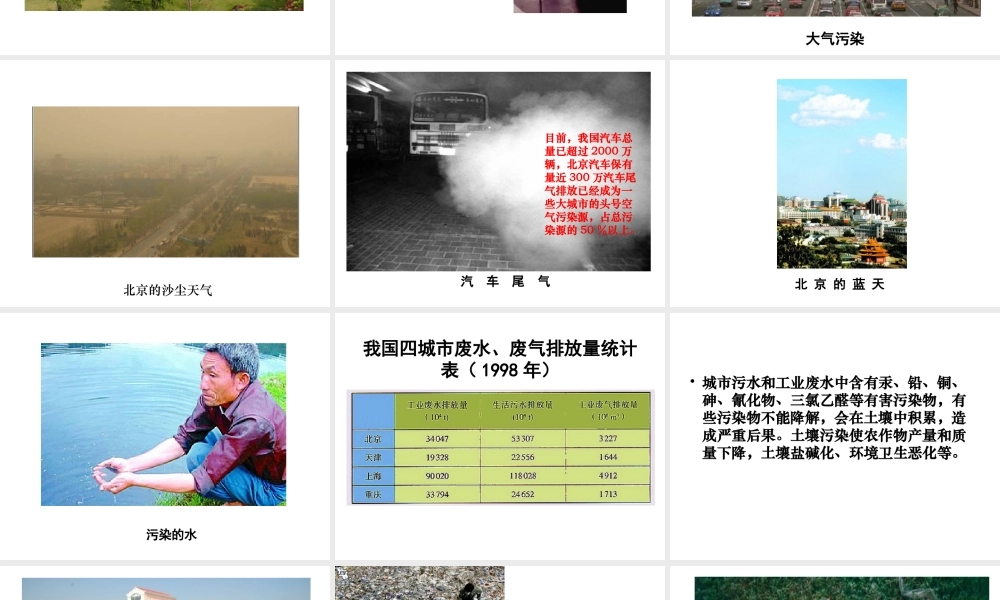 八年级生物下册 第24章 第三节 关注城市环境课件1 （新版）北师大版