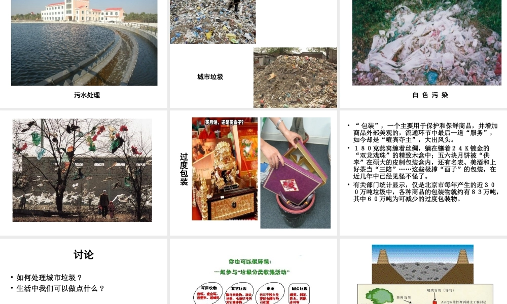 八年级生物下册 第24章 第三节 关注城市环境课件1 （新版）北师大版