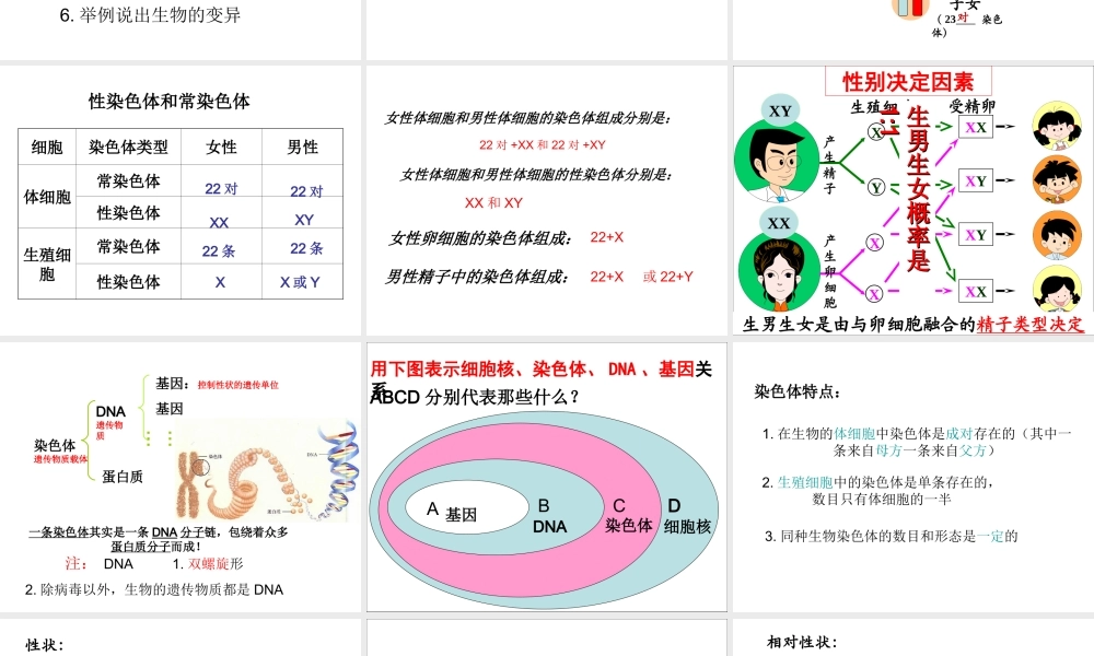 八年级生物下册 第二章 生物的遗传和变异复习课件 冀教版