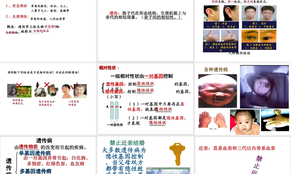 八年级生物下册 第二章 生物的遗传和变异复习课件 冀教版