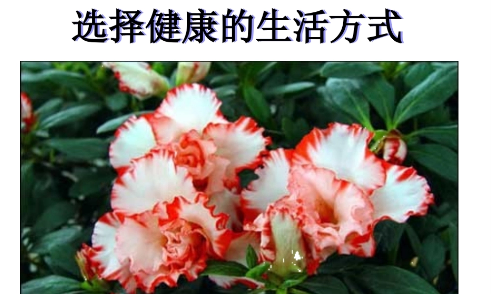 八年级生物下册 第八单元 第三章 第二节 选择健康的生活方式课件2 新人教版