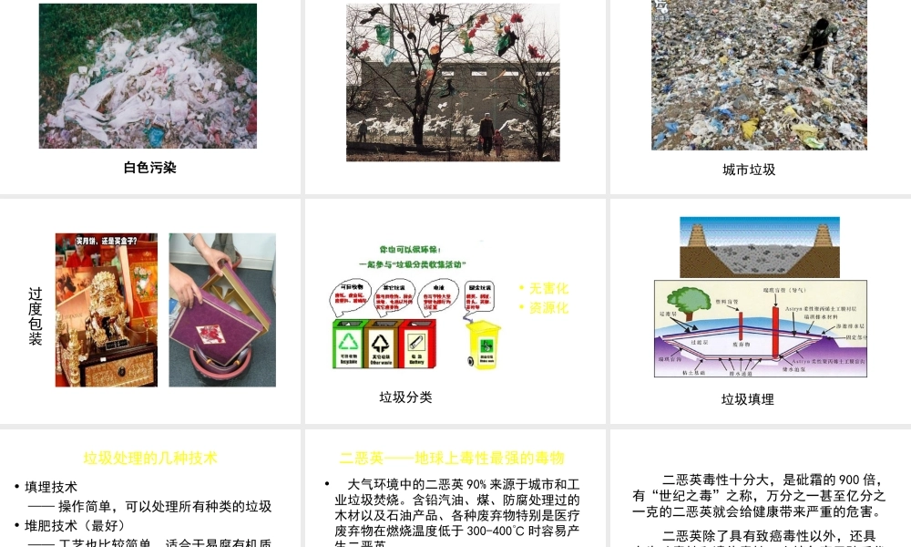 八年级生物下册 第24章 第三节 关注城市环境课件2 （新版）北师大版