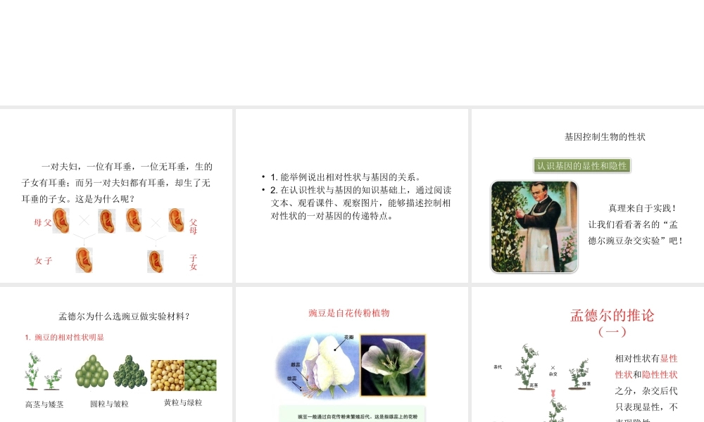 八年级生物下册 第7单元 生命的延续与进化 第22章 第1节《生物的遗传》第2课时课件 （新版）苏科版-（新版）苏科版初中八年级下册生物课件