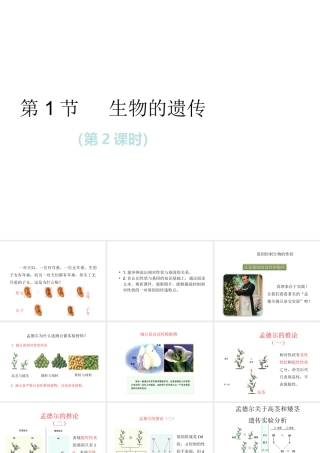 八年级生物下册 第7单元 生命的延续与进化 第22章 第1节《生物的遗传》第2课时课件 （新版）苏科版-（新版）苏科版初中八年级下册生物课件
