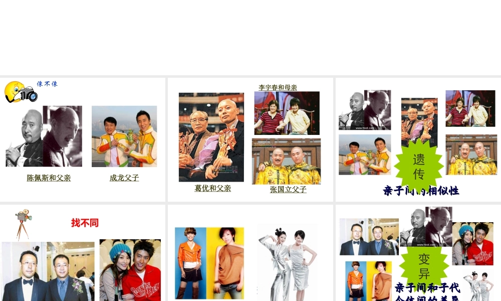 八年级生物下册 第二章 生物的遗传与变异 第一节 基因控制生物的性状课件 新人教版