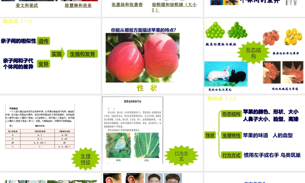八年级生物下册 第二章 生物的遗传与变异 第一节 基因控制生物的性状课件 新人教版