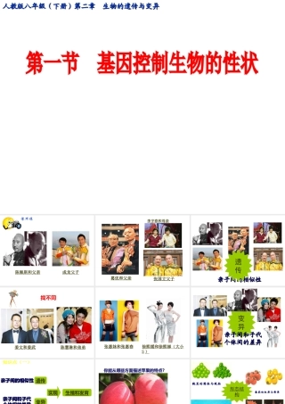 八年级生物下册 第二章 生物的遗传与变异 第一节 基因控制生物的性状课件 新人教版