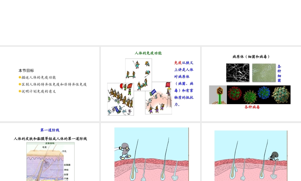 八年级生物下册 第二十五章 第3节《免疫》课件 （新版）苏教版