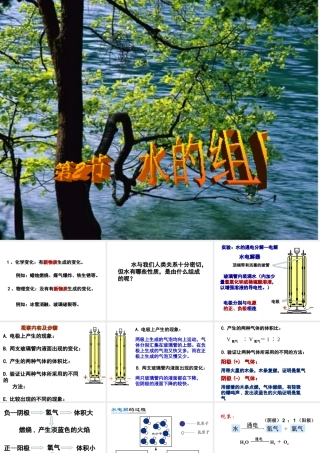 八年级科学上册 第二章地球的1.2水的组成课件 浙教版