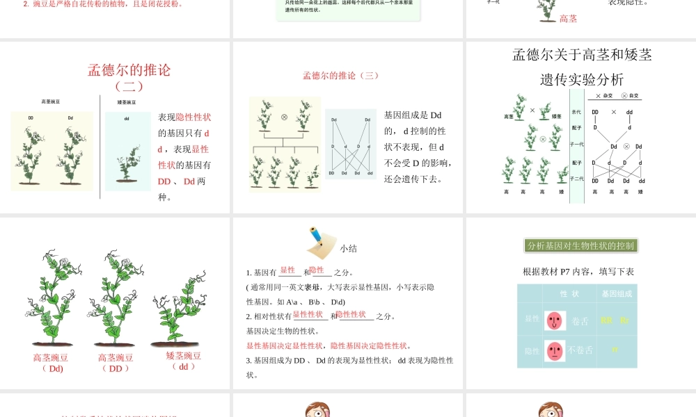 八年级生物下册 第7单元 生命的延续与进化 第22章 第1节《生物的遗传》第2课时课件 （新版）苏科版-（新版）苏科级下册生物课件