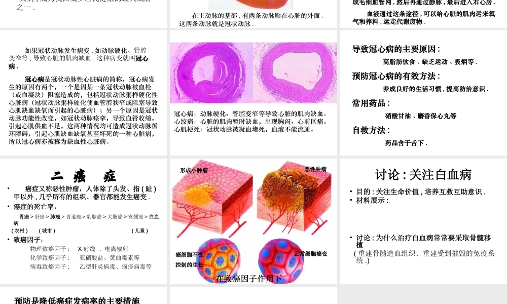 八年级生物下册 第二十五章 第二节 威胁健康的主要疾病课件1 （新版）苏教版