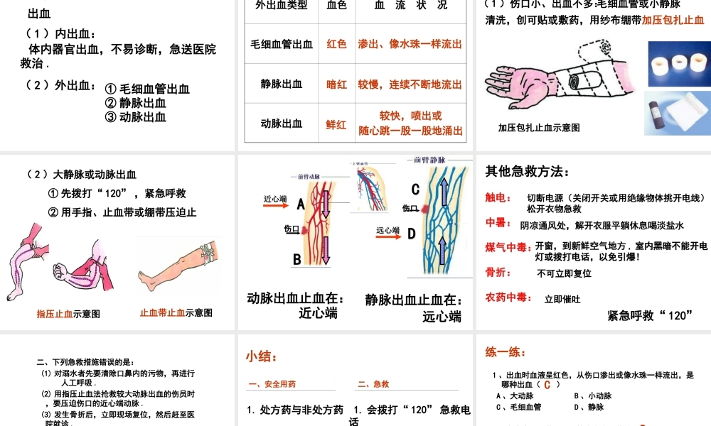 八年级生物下册 第二章 用药和急救课件 新人教版