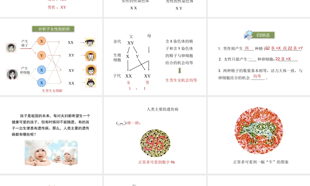 八年级生物下册 第7单元 生命的延续与进化 第22章 第1节《生物的遗传》第3课时课件 （新版）苏科版-（新版）苏科版初中八年级下册生物课件