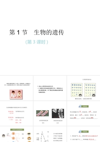 八年级生物下册 第7单元 生命的延续与进化 第22章 第1节《生物的遗传》第3课时课件 （新版）苏科版-（新版）苏科版初中八年级下册生物课件