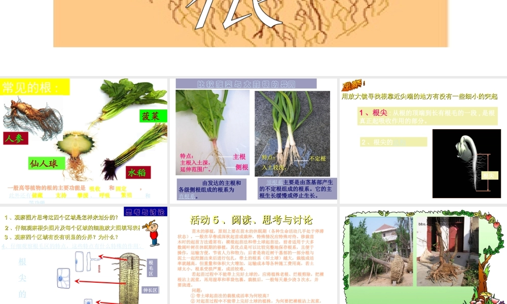 八年级科学上册 第六章 植物的新陈代谢 1.绿色植物的营养器官 课件华东师大版