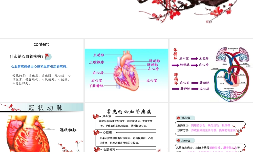 八年级生物下册 第二十五章 第二节 威胁健康的主要疾病课件2 （新版）苏教版