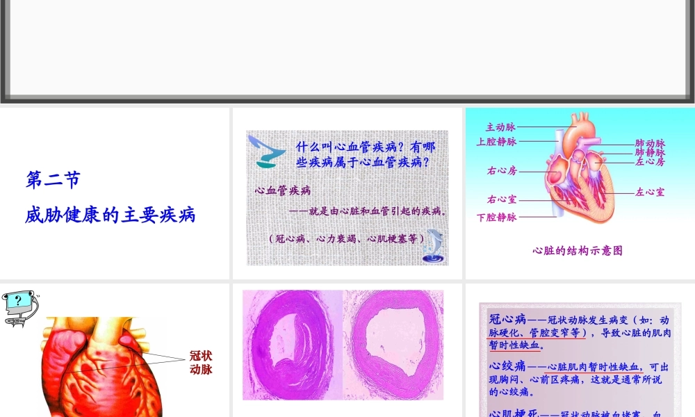 八年级生物下册 第二十五章 第二节 威胁健康的主要疾病课件3 （新版）苏教版