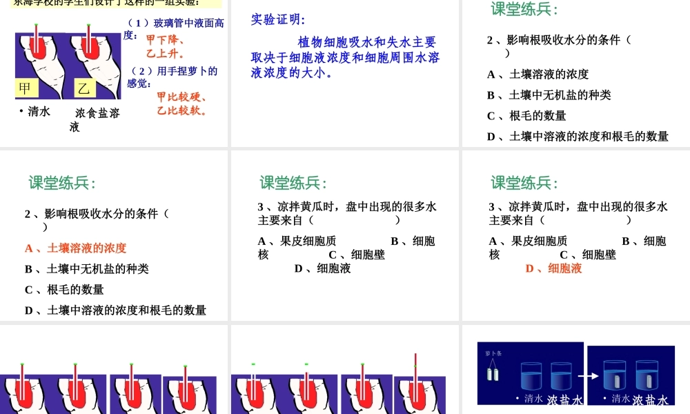 八年级科学上册 第六章 植物的新陈代谢 2.植物对水的吸收、运输利用和散失课件 (1) 华师大版