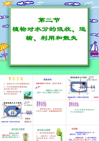 八年级科学上册 第六章 植物的新陈代谢 2.植物对水的吸收、运输利用和散失课件 (1) 华师大版