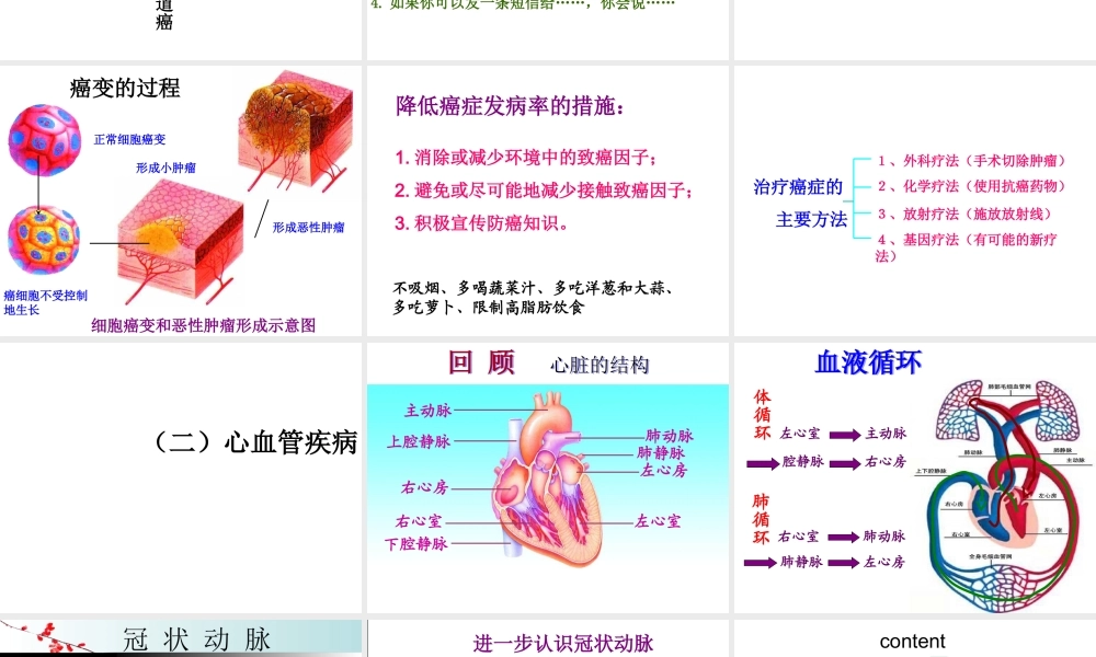 八年级生物下册 第二十五章 第二节 威胁健康的主要疾病课件4 （新版）苏教版