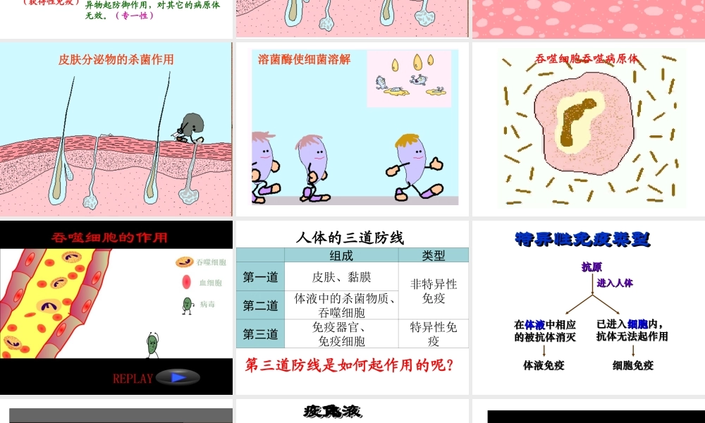 八年级生物下册 第二十五章 第三节 免疫课件1 （新版）苏教版