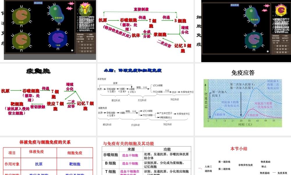 八年级生物下册 第二十五章 第三节 免疫课件1 （新版）苏教版