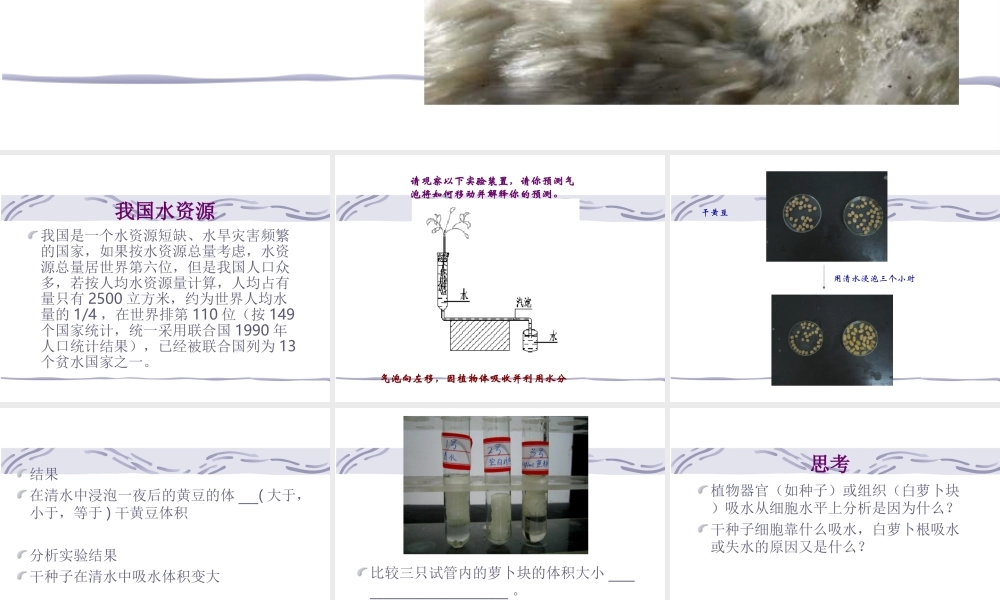 八年级科学上册 第六章 植物的新陈代谢 2.植物对水的吸收、运输利用和散失课件 华师大版