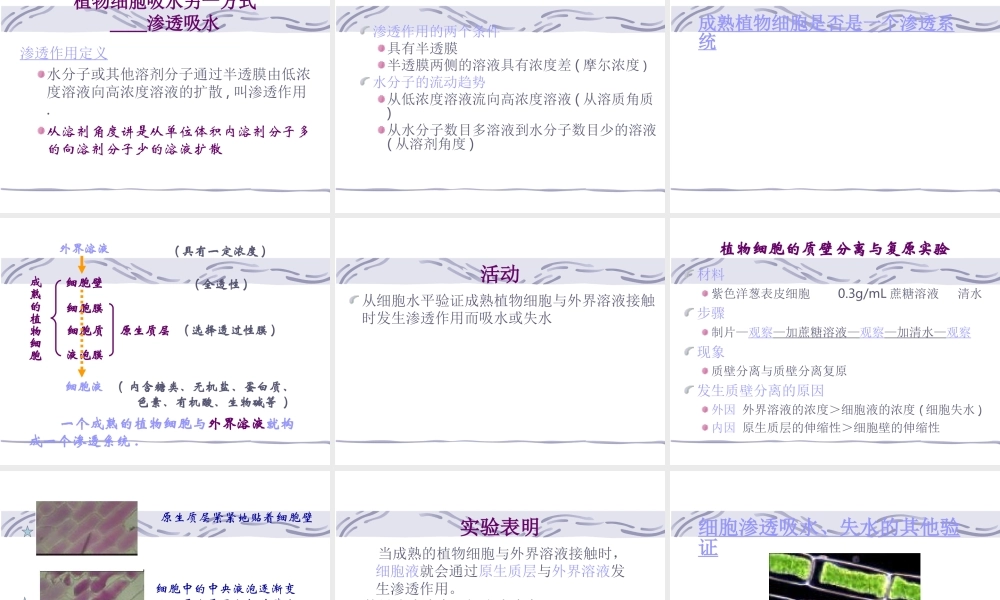 八年级科学上册 第六章 植物的新陈代谢 2.植物对水的吸收、运输利用和散失课件 华师大版