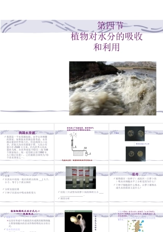 八年级科学上册 第六章 植物的新陈代谢 2.植物对水的吸收、运输利用和散失课件 华师大版