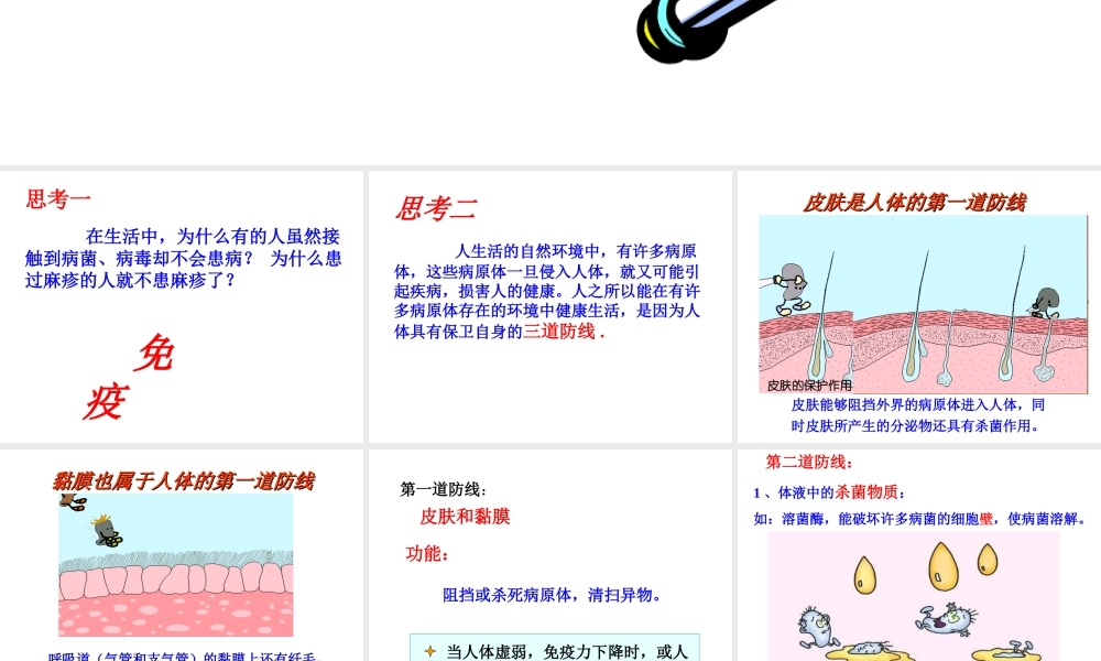 八年级生物下册 第二十五章 第三节 免疫课件2 （新版）苏教版