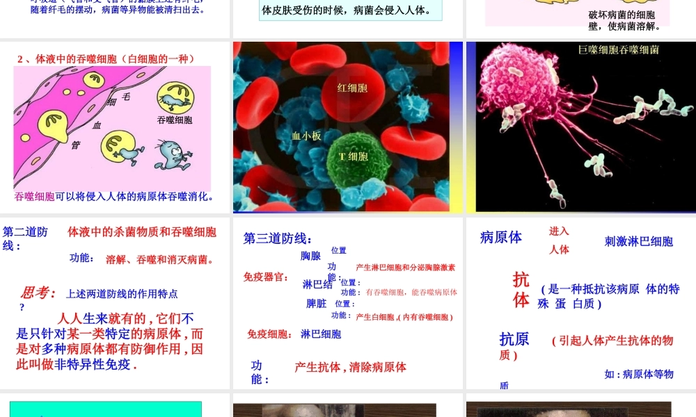 八年级生物下册 第二十五章 第三节 免疫课件2 （新版）苏教版