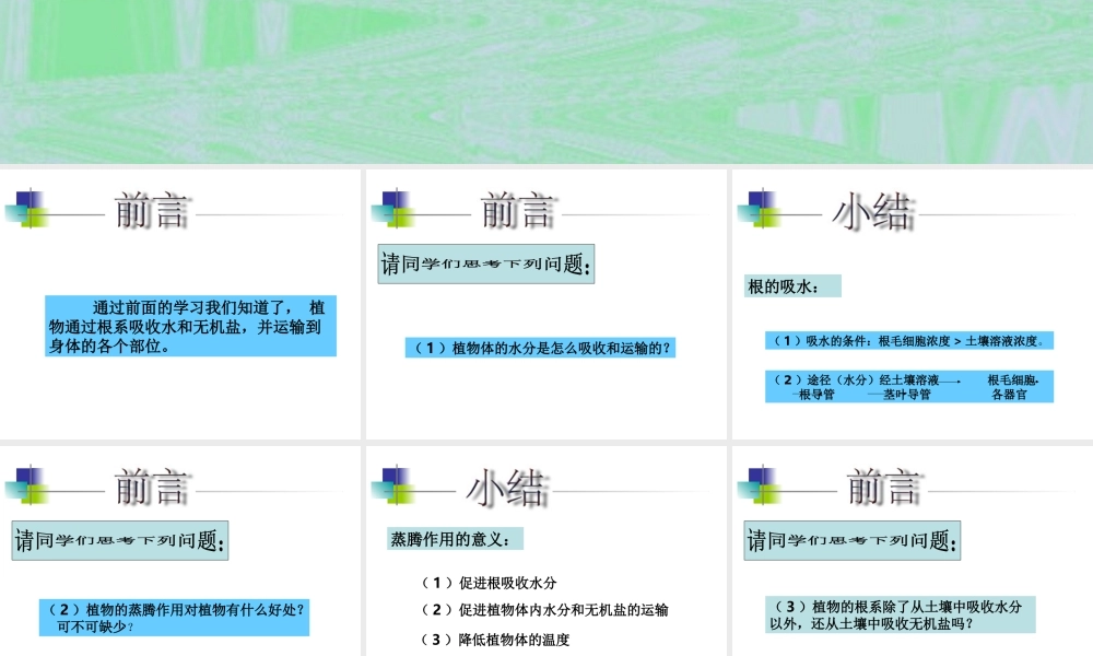 八年级科学上册 第六章 植物的新陈代谢 3.植物对无机盐的吸收、运输和利用课件 华师大版