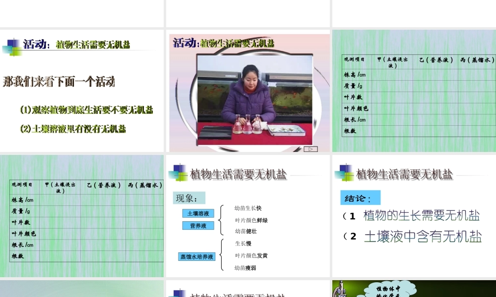 八年级科学上册 第六章 植物的新陈代谢 3.植物对无机盐的吸收、运输和利用课件 华师大版