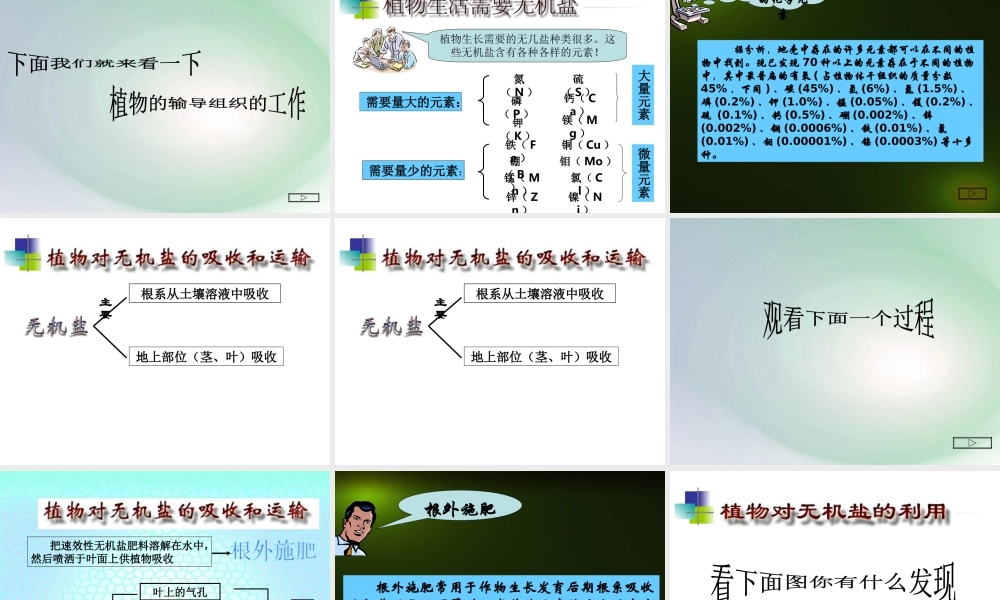 八年级科学上册 第六章 植物的新陈代谢 3.植物对无机盐的吸收、运输和利用课件 华师大版