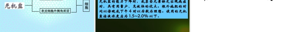 八年级科学上册 第六章 植物的新陈代谢 3.植物对无机盐的吸收、运输和利用课件 华师大版