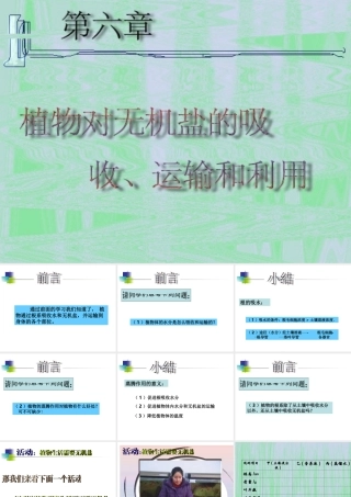 八年级科学上册 第六章 植物的新陈代谢 3.植物对无机盐的吸收、运输和利用课件 华师大版